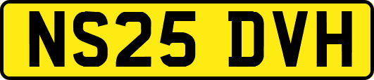 NS25DVH