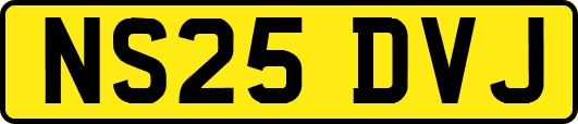 NS25DVJ