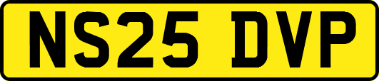 NS25DVP
