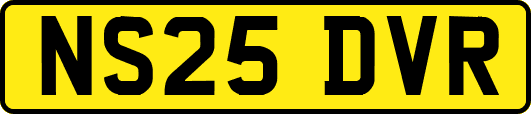 NS25DVR