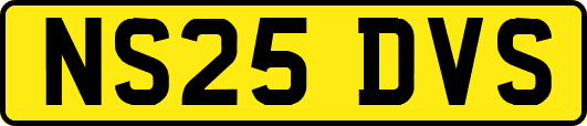 NS25DVS