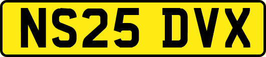 NS25DVX
