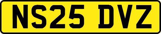 NS25DVZ
