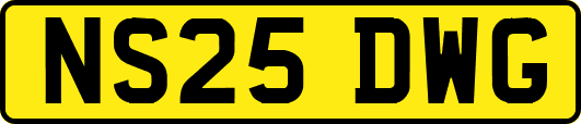NS25DWG