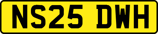 NS25DWH