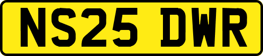 NS25DWR