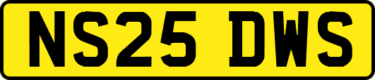 NS25DWS