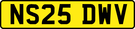 NS25DWV