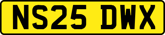 NS25DWX