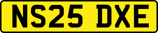 NS25DXE