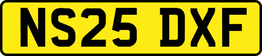 NS25DXF