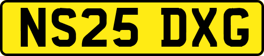 NS25DXG