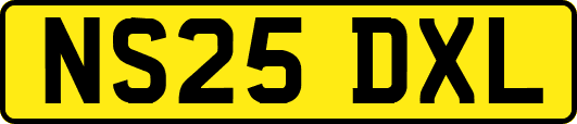 NS25DXL