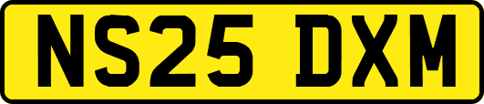 NS25DXM