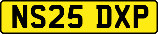 NS25DXP