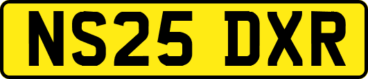 NS25DXR