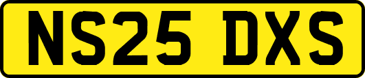 NS25DXS