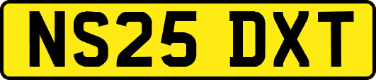 NS25DXT