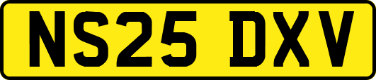 NS25DXV