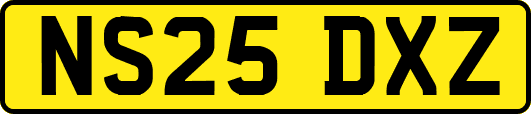 NS25DXZ