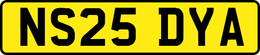 NS25DYA