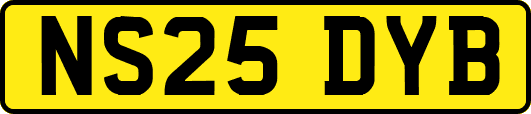 NS25DYB