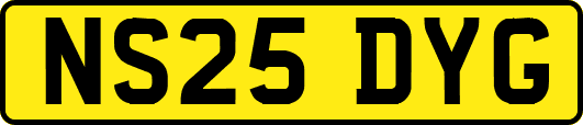 NS25DYG