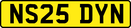 NS25DYN