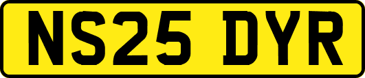 NS25DYR