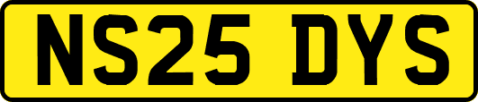 NS25DYS