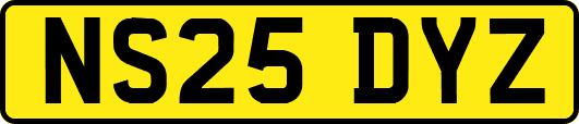 NS25DYZ