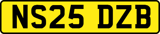 NS25DZB