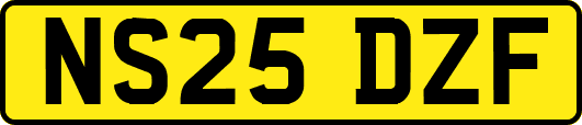 NS25DZF
