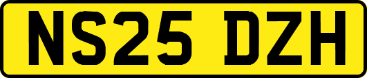 NS25DZH