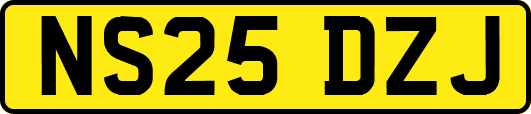 NS25DZJ