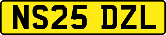 NS25DZL