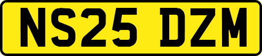 NS25DZM