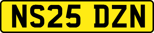 NS25DZN