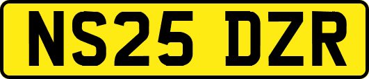 NS25DZR