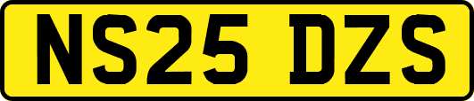 NS25DZS