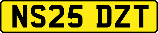 NS25DZT