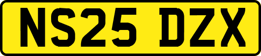 NS25DZX