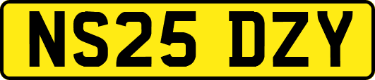NS25DZY