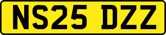 NS25DZZ