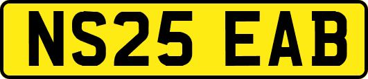 NS25EAB