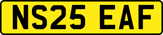 NS25EAF