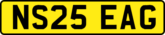 NS25EAG