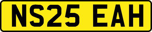 NS25EAH