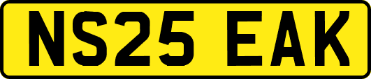 NS25EAK
