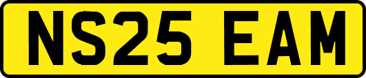 NS25EAM